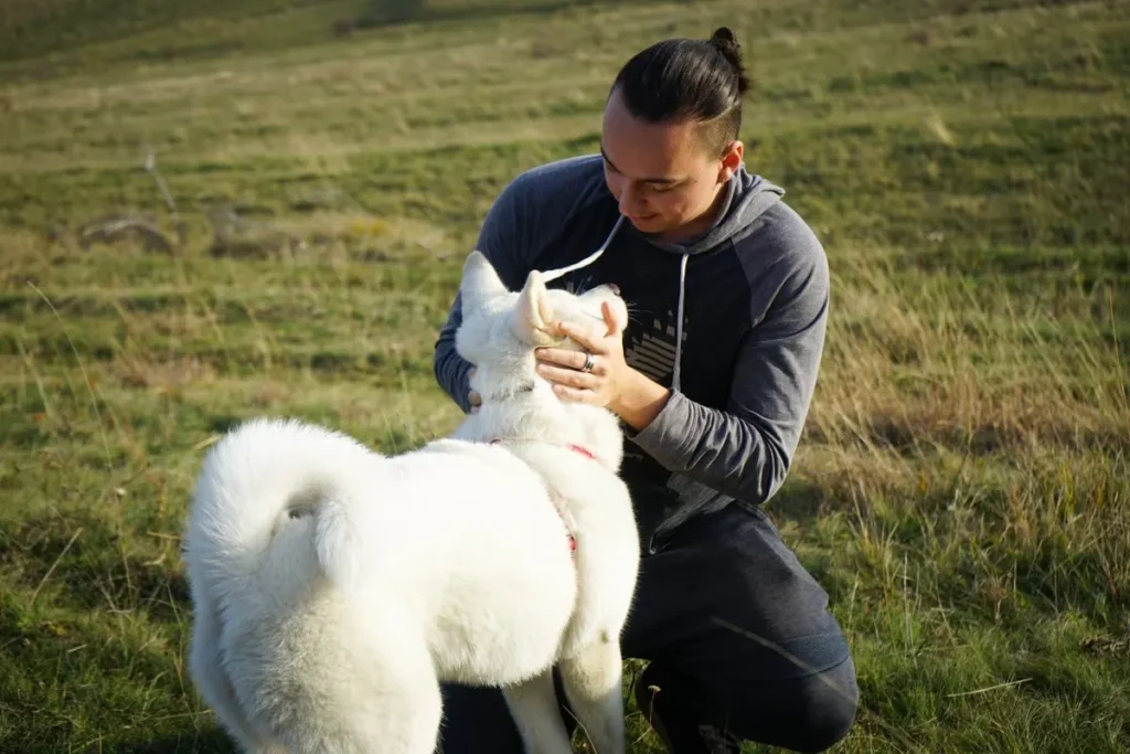 Como comprar um filhote de Akita Inu branco com reserva antecipada?