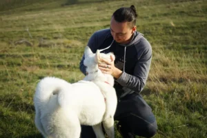 Como comprar um filhote de Akita Inu branco com reserva antecipada?