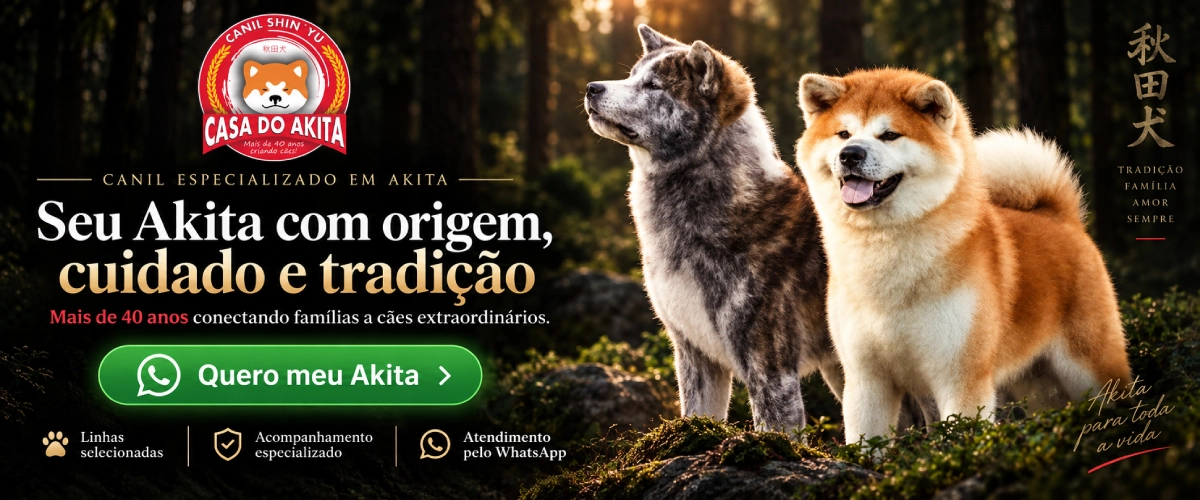 CTA – Topo, meio e final