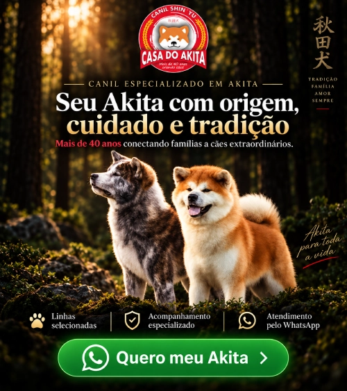 CTA – Topo, meio e final