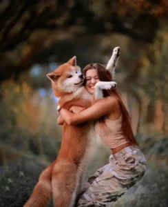 O Akita Inu reconhece o dono? Como ele demonstra lealdade?